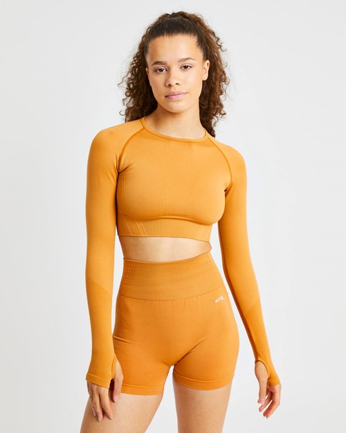 AYBL Balance V2 Seamless Long Sleeve Crop Top Oranžové | AVSK-32549