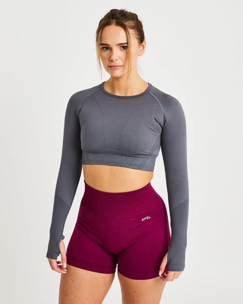 AYBL Balance V2 Seamless Long Sleeve Crop Top Šedé | HMKU-81734
