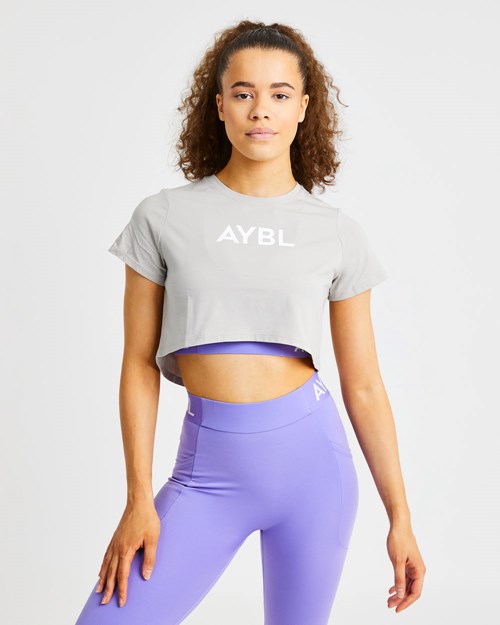 AYBL Crop T Shirt Šedé | AJNK-12630