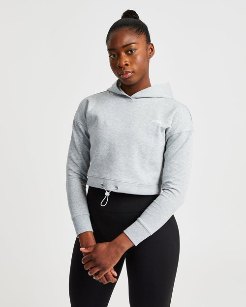 AYBL Everyday Drawcord Hoodie Šedé | CYNA-83269