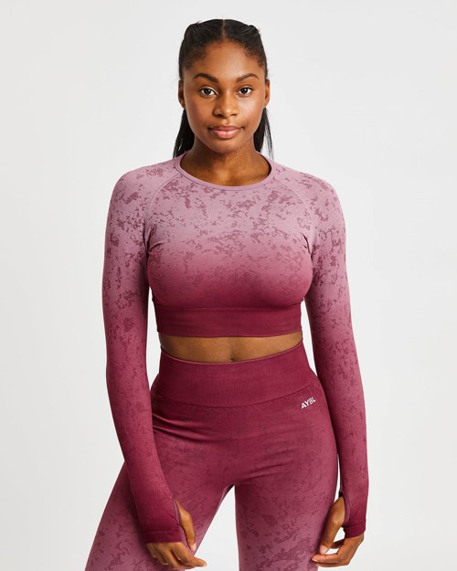 AYBL Flare Seamless Long Sleeve Crop Top Plum | CGVI-15629