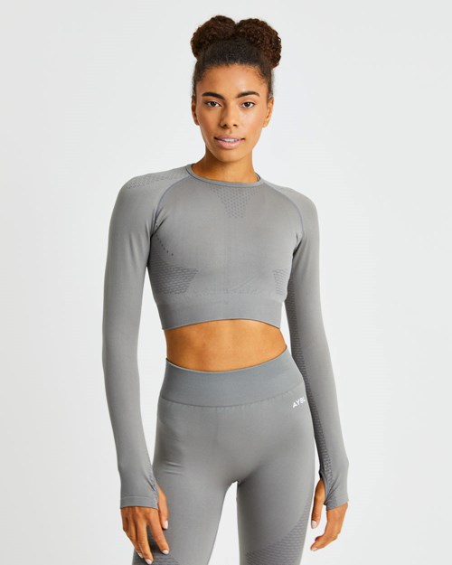 AYBL Ignite Seamless Long Sleeve Crop Top Šedé | YKIW-45287