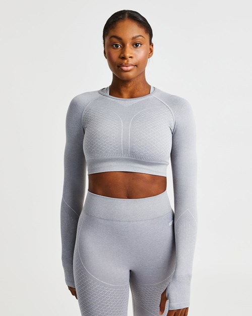 AYBL Impact Seamless Long Sleeve Crop Top Šedé | CRPF-79625