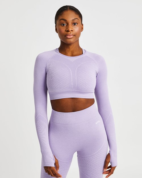 AYBL Impact Seamless Long Sleeve Crop Top Lilac | PVNC-34815