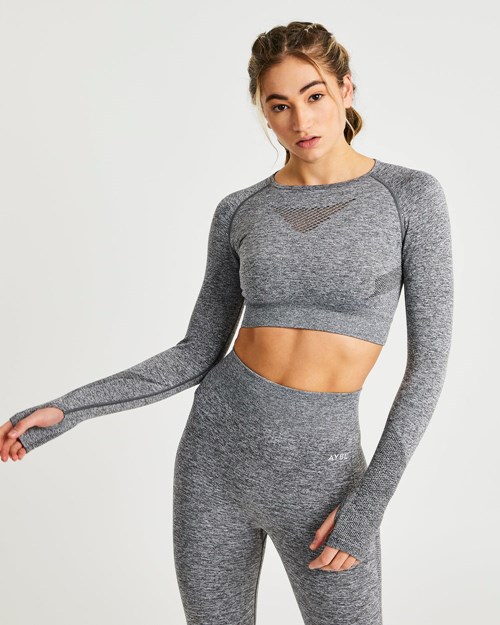 AYBL Motion Seamless Long Sleeve Crop Top Šedé | CDQX-74209