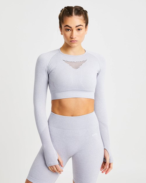 AYBL Motion Seamless Long Sleeve Crop Top Světle Šedé | TOXM-26950