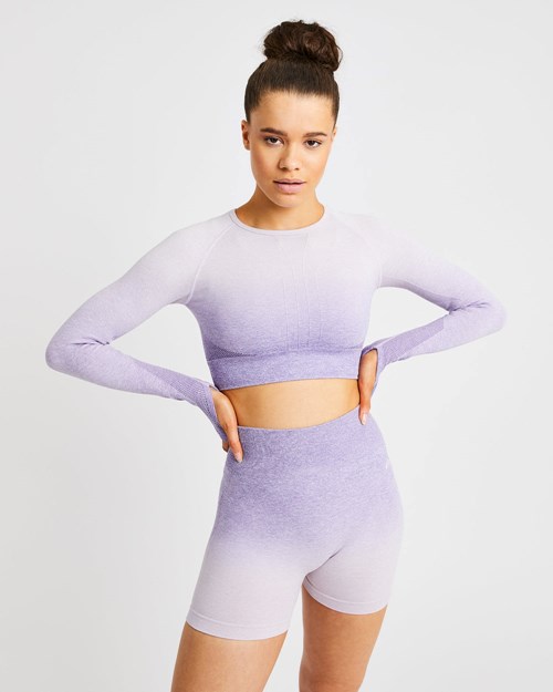 AYBL Pulse Ombré Seamless Long Sleeve Crop Top Lilac | CNDP-47965