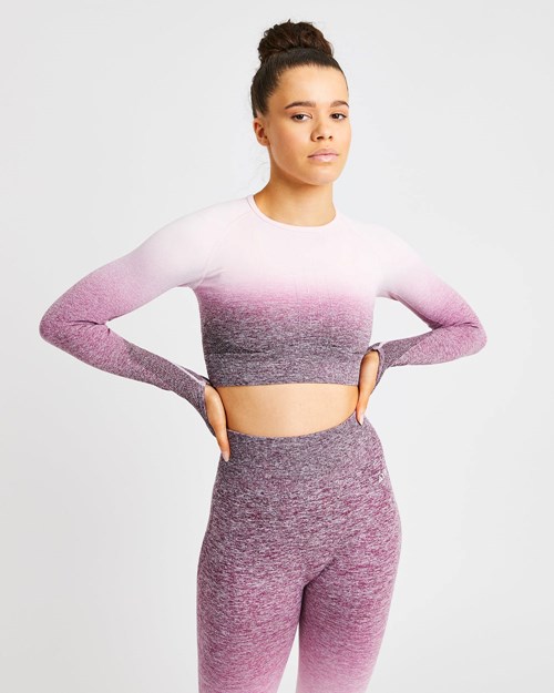 AYBL Pulse Ombré Seamless Long Sleeve Crop Top Plum | OZCR-85312