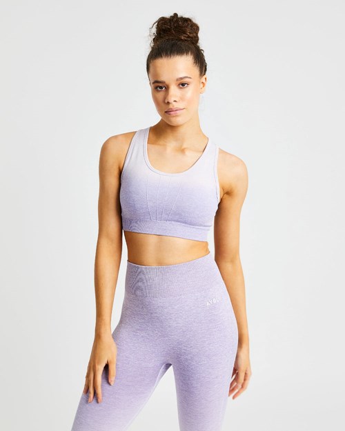 AYBL Pulse Ombré Seamless Sports Bra Lilac | WXVE-61387