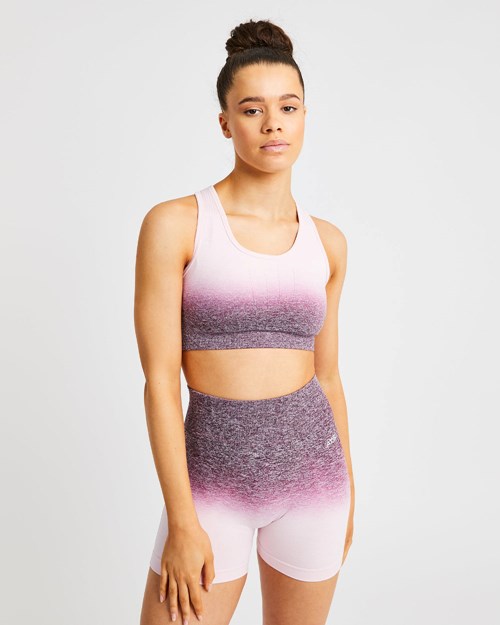 AYBL Pulse Ombré Seamless Sports Bra Plum | FTUA-34987