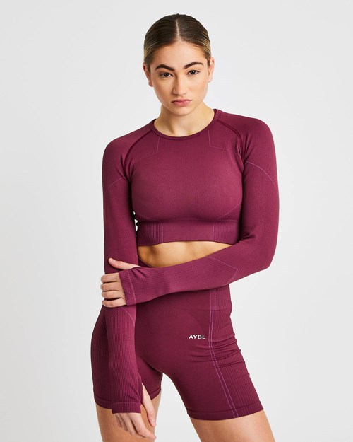 AYBL Reflex Seamless Long Sleeve Crop Top Plum | PMZA-61804