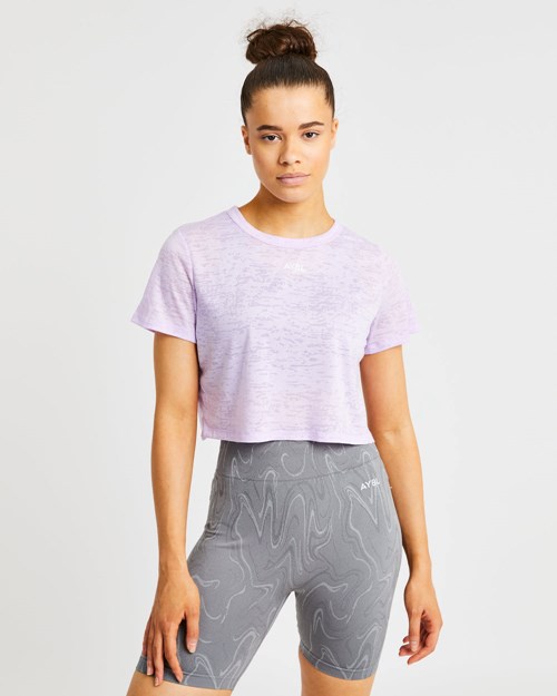 AYBL Velocity Crop T Shirt Lilac | ZLTD-24567